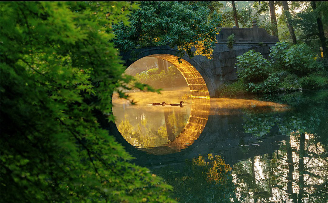 What Zen Means: Finding Balance and Inner Peace